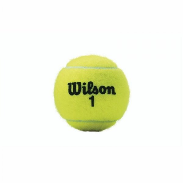 Piłki do Tenisa Wilson Championship XD  (3 pcs)