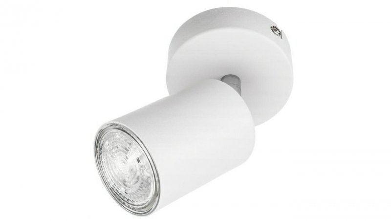 Lampa Oprawa SIENA-ALU-W/S 1xgu10 biała ze srebrnym przegubem