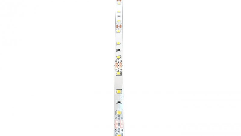 Taśma LED 2835 60led/m 4000K 12V 6W/m rolka 5m
