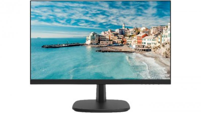 Monitor DS-D5024FN HIKVISION