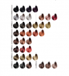  Color Art Desiree Farba do włosów 11,0 Naturalny superrozjaśniacz - 100 ml