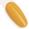 Lakier hybrydowy Ntn Premium Show Collection 5g Nr 110