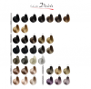 Color art Desiree farba do włosów 10,03 złocisty super blond 100ml