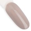 Lakier hybrydowy Ntn Premium Topless Collection 5 g Nr 10