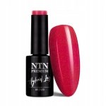 Lakier hybrydowy NTN Springtime selfie 5g Nr 281