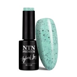 Lakier hybrydowy NTN Premium Sugar Puff Collection 5g Nr 183
