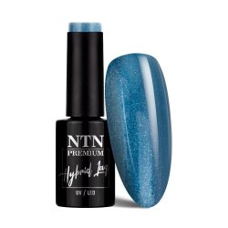 Lakier hybrydowy Ntn Premium Multicolor Collection 5g Nr 90