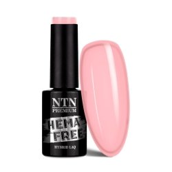 Lakier hybrydowy Ntn Delicate French 5g Nr 299