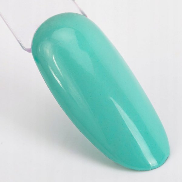 Lakier hybrydowy lakier kolorowy Ntn 08 5 ml