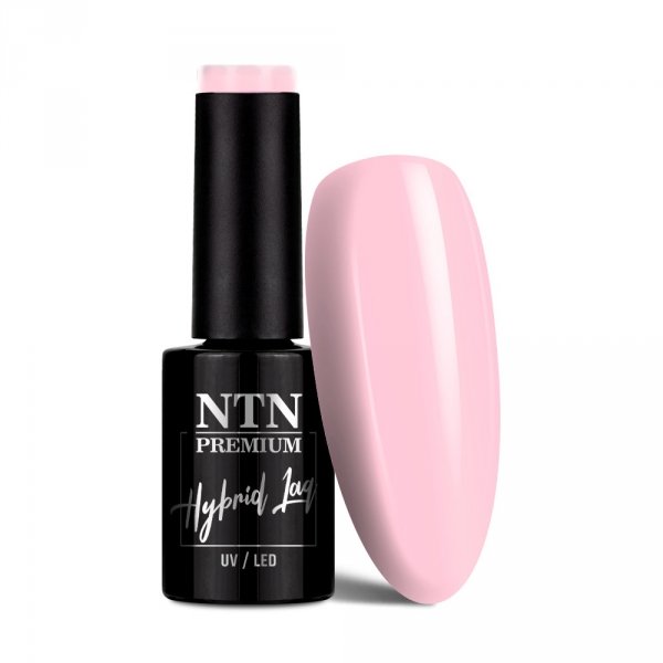 Lakier hybrydowy Ntn Premium Delight Sorbet Collection 5g Nr 148