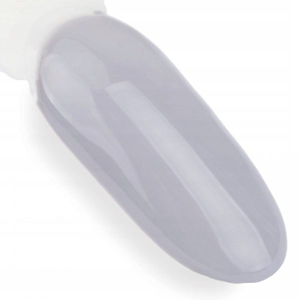 Lakier Hybrydowy NTN 5g Dessert Szary Grey Jasnoszary Nr98