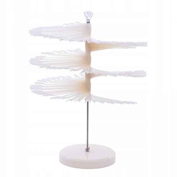 Wzornik karuzela ze stojakiem na 120 paznokcie mleczne