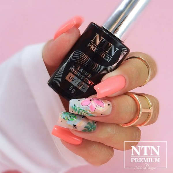 Lakier hybrydowy Ntn Premium Celebration Collection 5g Nr 164