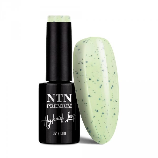 Lakier hybrydowy NTN Premium Sugar Puff Collection 5g Nr 184