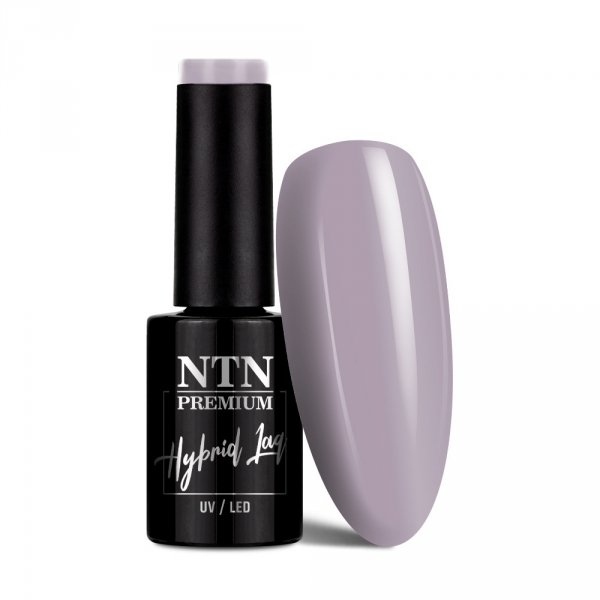 Lakier hybrydowy Ntn Premium Splash Collection 5g Nr 122