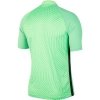 Koszulka Nike Gardien III BV6714 398 zielony XL