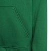 Bluza adidas ENTRADA 22 Hoody Y HI2143 zielony 152 cm