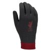 Rękawiczki Nike Liverpool FC Thermafit - HO23 FJ4857-010 czarny S