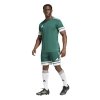 Spodenki adidas SQUADRA 25 JH3411 zielony S