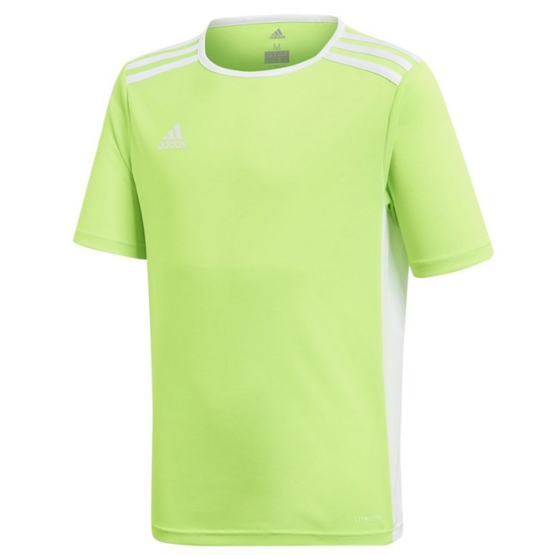 Koszulka adidas Entrada 18 JSY Y CE9755 zielony 176 cm