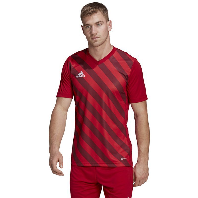Koszulka adidas ENTRADA 22 GFX JSY HB0572 czerwony XL