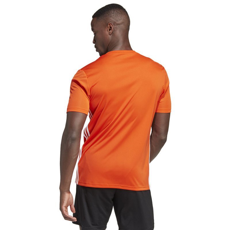 Koszulka adidas Tabela 23 IB4927 pomarańczowy S