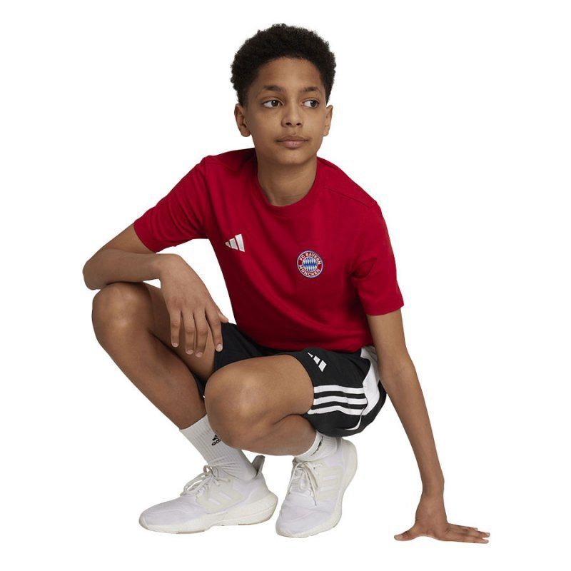 Koszulka adidas FC Bayern Kids Tee IT4138 czerwony 164 cm