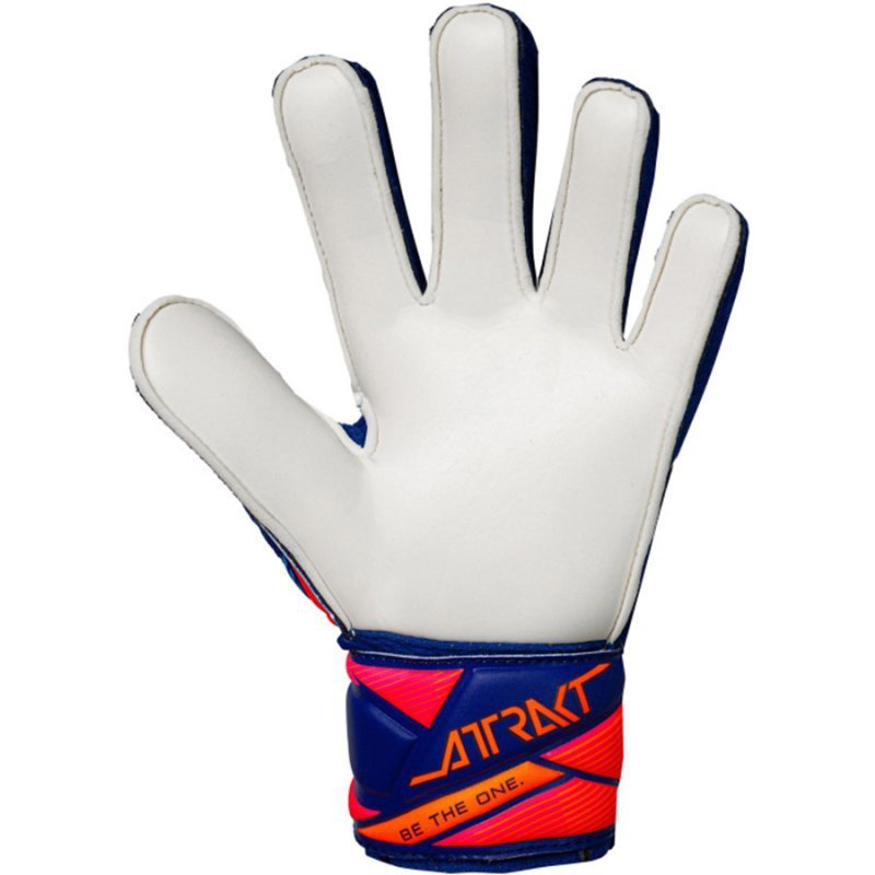 Rękawice Reusch Attrakt Solid Junior 56 72 515 4126 niebieski 5