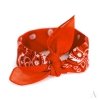 Bandana Art Of Polo 13014 Classic Rebel