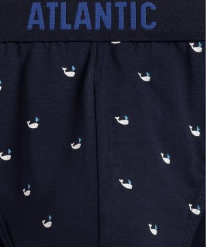 Atlantic SLIPY ATLANTIC 3MP-158 WL24 GRA/NIE/GRA