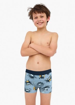 Bokserki Cornette Young Boy 700/154 Bat 134-164