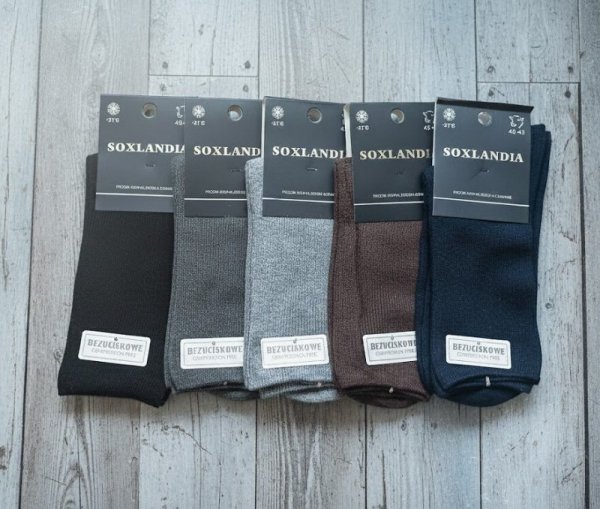 Skarpety WiK Soxlandia 043 Kaszmir 16 39-46