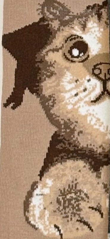 Stopki WiK Xintao 3502 wz.35 35-42