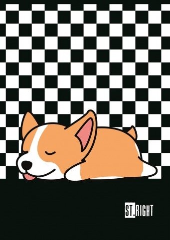   Zeszyt A4 w kratkę 32 kartki ST.RIGHT 9989 