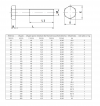 ŚRUBA MASZYNOWA  M 20 X 110  DIN 931 KL 88 OP. 25szt/8,17kg