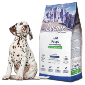 Evoque Puppy Dziczyzna z jagnięciną M&L Super Premium 2kg 