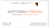 wizytówki Soft Skin (mat), druk dwustronny pełnokolorowy 4+4, papier kredowy 350 g mat, 250 sztuk