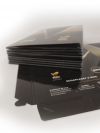 teczka Standard+ Korona, druk pełnokolorowy jednostronny 4+0, foliowane błysk, kreda mat 350 g, 10 sztuk
