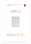 plakat A3,  druk pełnokolorowy jednostronny 4+0, na papierze kredowym, 130 g, 1000 sztuk
