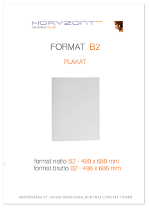 plakat B2, ekspres, druk pełnokolorowy jednostronny 4+0, na papierze kredowym, 250 g - 250 sztuk