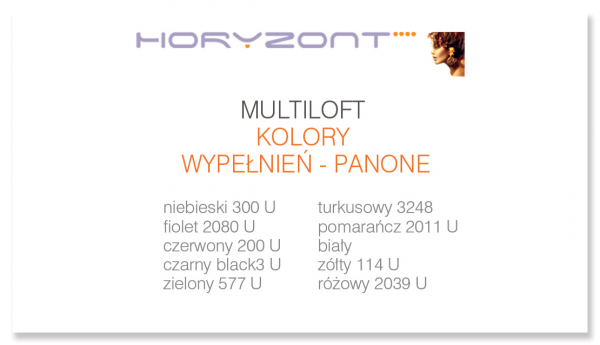 wizytówki multiloft, druk dwustronny pełnokolorowy 4+4, wypełnienie kolor pantone - 250 sztuk