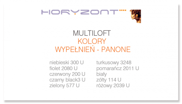 wizytówki bez folii, druk dwustronny, ekspres 1 dzień, papier kredowy 350 g mat,  250 sztuk 