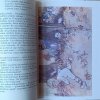 James Matthew Barrie • Przygody Piotrusia Pana  - ilustracja