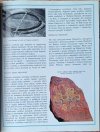 Tak żyli ludzie W czasach wikingów - fragment