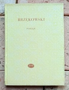 Jan Brzękowski - Poezje | Biblioteka Poetów