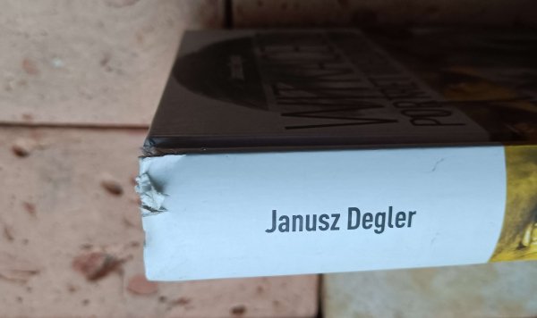 Janusz Degler - Witkacego. Portret wielokrotny