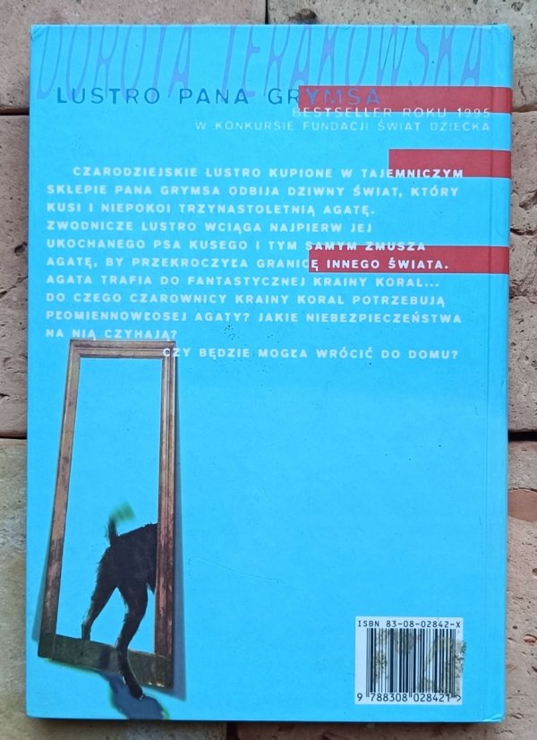 Dorota Terakowska - Lustro pana Grymsa - okładka
