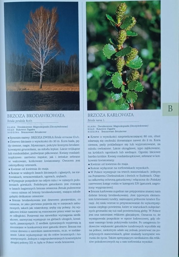 Renata Kosińska, Marek Kosiński  Rośliny Polski | Ilustrowana encyklopedia od A do Z - fragment