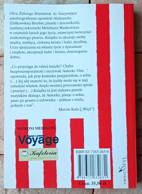 Aleksandra Ziółkowska-Boehm Ulica żółwiego strumienia - okładka