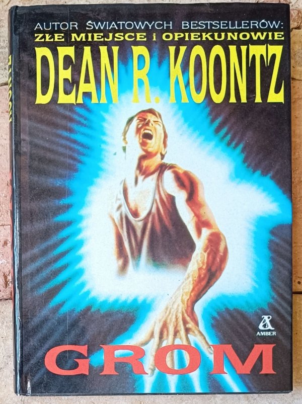 Dean Koontz Grom  